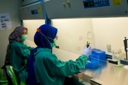Petugas laboratorium COVID-19 menggunakan metode polymerase chain reaction (PCR) sampel swab nasofaring dan orofaringeal di RS Pendidikan Universitas Padjadjaran, Bandung, Jawa Barat pada 7 Agustus 2020. (Foto: AFP)