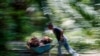 FILE - An Indonesian worker pushes a cart of palm oil fruits at Felda Bukit Cerakah in the district of Klang, outside Kuala Lumpur, Apr. 16, 2014.