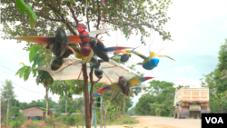 រូប​សត្វ​ឃ្មុំ មេអំបៅ​ និង​សត្វផ្សេង​ៗ ដែល​អ្នកស្រី​ ឆន​ ចំរើន ធ្វើឡើង​​ពី​ដូងស្តរ​ បាញ់ថ្នាំ​រួច​ ដាក់​តាំង​នៅ​មុខ​ផ្ទះ​ដើម្បី​លក់​​​ ​​នៅ​ភូមិ​​គោក​គ្រើល​ ឃុំ​លាង​ដៃ​ ស្រុកអង្គរ​ធំ​ ខេត្ត​សៀមរាប នៅ​ថ្ងៃទី ២២ ខែ​កក្កដា​ ឆ្នាំ​២០២០។​ (ខាន់​ សុគុំមនោ​/វីអូអេ)