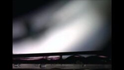 Video of Bioinspired Plate-Based Fog Collectors