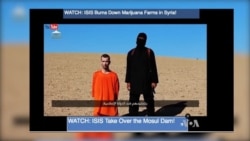 US `Reasonably Certain' Its Airstrike Killed 'Jihadi John' in Syria