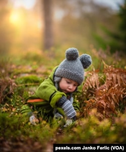 A baby plays in the autumn leaves.