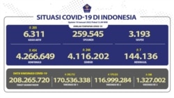 Grafik situasi COVID-19 di Indonesia. (BNPB)