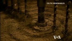 Whisky Byproduct Will Power Cars