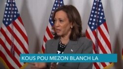 Elektè nan Jòji ak Kawolin di Nò Komanse Vote 