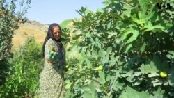 آبائی گاؤں کو تنہا آباد کرنے میں مصروف کرد خاتون