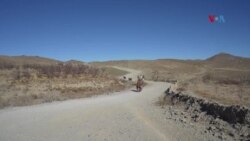 پښين کې په اشر د سړکونو جوړولو لپاره د ځوانانو هڅې
