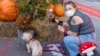 COVID Changes Halloween Celebrations