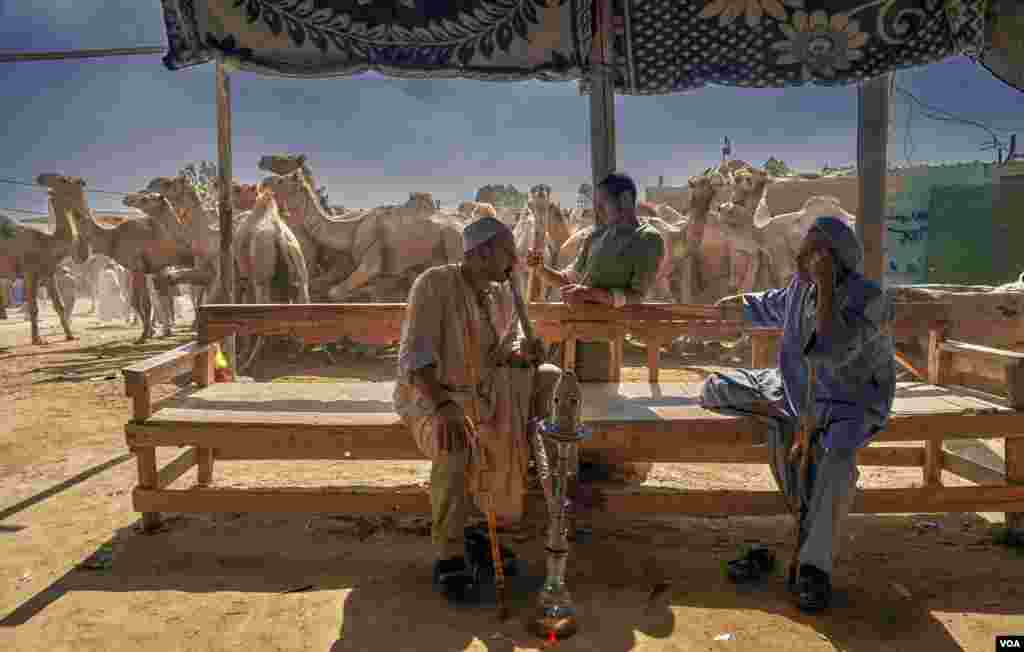 Herders say that attending training and awareness sessions has made them more careful – and humane - in handling their animals. (VOA/H. Elrasam)