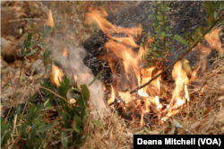 Wildfires continue to spread in Sonoma County, Calif., Oct. 12, 2017. Authorities still do not know what touched off the series of blazes. (D. Mitchell/VOA)