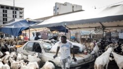 Hausse quasi-générale des prix des denrées de première nécessité