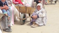 رونق بازار آسیاب های سیار در شهر کابل