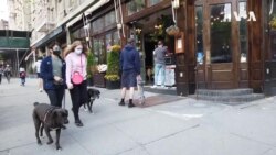 Thrin COVID New York Restaurants -- USAGM