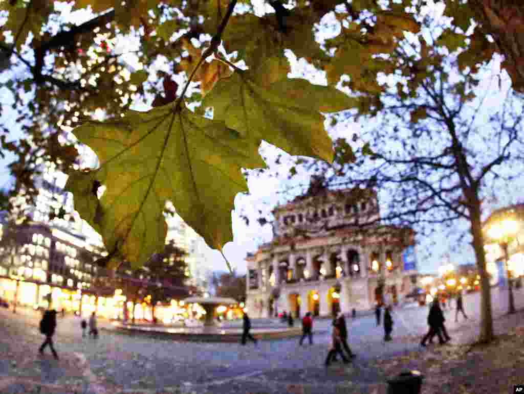 Leaves hang from a tree at the Opera square in Frankfurt, Germany.