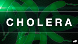 cholera