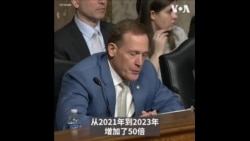 美国北方司令部司令谈非法中国移民：“我所担心的是有披着羊皮的狼进入” 