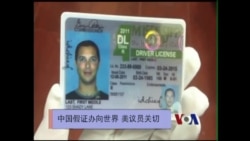 中国造美国驾照可以假乱真 两党议员关切