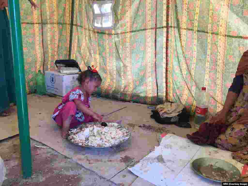 Yasmin is Yousra&#39;s sister. &ldquo;She is so tired that she can only cry,&rdquo; says her mother. She arrived with her parents and siblings in Al Fallujah camp in Ameriyat Al Fallujah during the early morning hours. Neighbors had cooked them this food.
