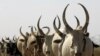 Dozens are killed in what officials say was a reprisal attack for the abduction of eight women and the theft of scores of head of cattle in South Sudan.
