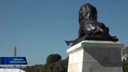 Super qahramonlarga qizlar ham qiziqadi