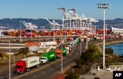 미국 캘리포니아주 오클랜드 항에 들어가기 위해 화물 차량들이 줄지어 서 있다. (자료사진)