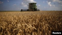 FILE - A combine drives through a field of soft red winter wheat during the harvest on a farm in Dixon, Illinois, July 16, 2013.