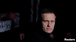 الکسی نوالنی، منتقد سرسخت ولادیمیر پوتین