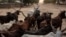 FILE - A man leads his herd of cattle in Maroua, Cameroon, March 2, 2020.