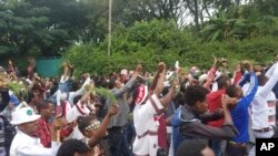 Des Éthiopiens manifestent lors du festival annuel à Bishoftu, Ethiopie, le 2 octobre 2016.