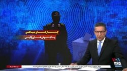 ویژه برنامه: چنارهای سپاهی، پاجوش‌های‌ ولایی