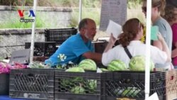 តើ​ត្រា​បន្លែ​សរីរាង្គ​ដែល​ចេញ​ដោយ​ក្រសួង​កសិកម្ម​អាមេរិក​មាន​ន័យ​ដូចម្តេច?