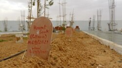 Une photo montre le "Jardin d'Afrique", le 1er juin 2021.