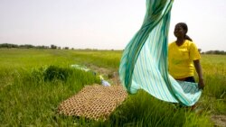 Your 'Dirty Laundry' Has Nothing to Do With Clothes