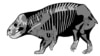 Scientists Find Remains of Huge Plant-Eating Mammal
