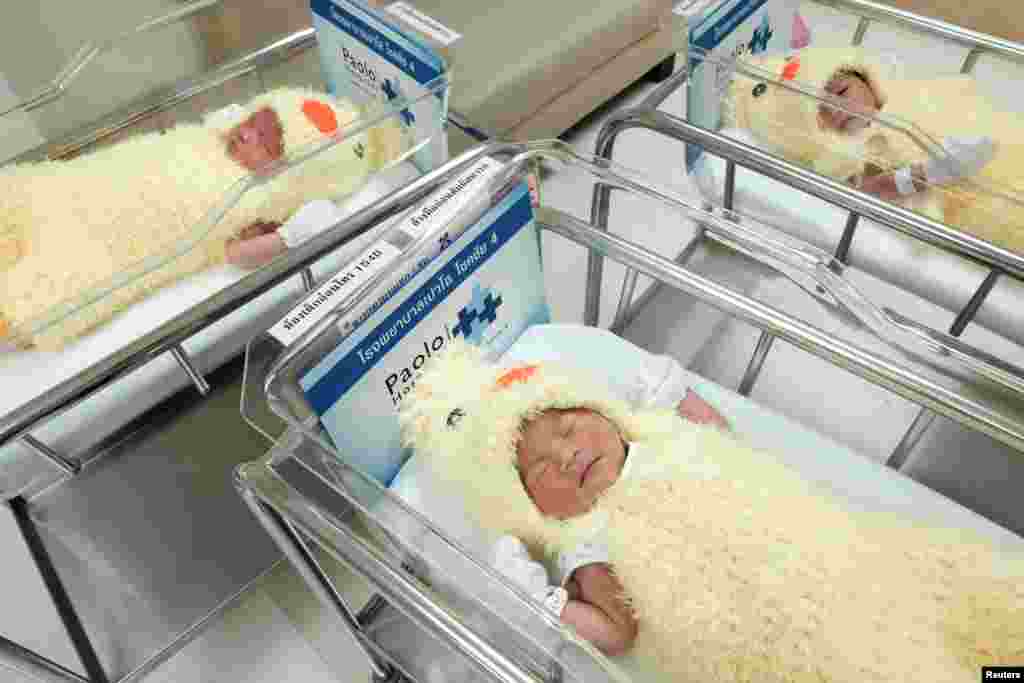 泰国曼谷的一家医院里，新生婴儿穿着鸡形服装，迎接鸡年（2017年1月27日）