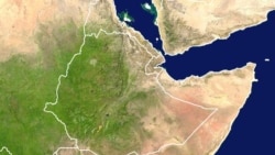 የአፋር ክልል መንግሥት የሶማሌ ክልል ታጣቂዎች ከሰሰ