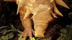 Quiz - One-in-a-Billion Dinosaur Discovery