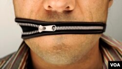 საზოგადოების ნაწილს მიაჩნია, რომ კულტურის სფეროში, ახალი კანონპროექტი ცენზურის საფრთხეს აჩენს 