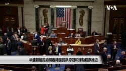 华盛顿居民如何看待国民队夺冠和弹劾程序推进