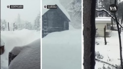 დიდთოვლობა გურიაში