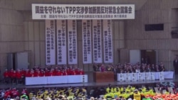 台欲入TPP，专家：先准备好再等机会