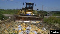 Buldozer Rossiya sanksiyasiga uchragan xorijiy oziq-ovqatlarni yer bilan tekislamoqda, Belgorod oblasti, Rossiya, 6-avgust, 2015-yil