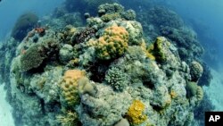 នេះ​ជា​ទិដ្ឋាភាព​នៃ​តំបន់​ថ្ម​ប៉ប្រះ​ទឹក Great Barrier Reef របស់​ប្រទេស​អូស្ត្រាលី។