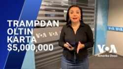 Oltin karta, Trampdan AQShga taklif 