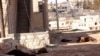 Animal carcasses in wake of what residents describe as a chemical weapons attack in Khan al-Assal area, near Aleppo, Syria, March 23, 2013.