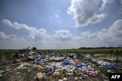 FILE - A photo taken on July 23, 2014 shows the crash site of the downed Malaysia Airlines flight MH17, in a field near the village of Grabove, in the Donetsk region.