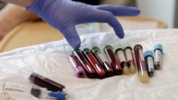 Quiz - Treatment Helps Body’s Natural Defenses Fight Cancer