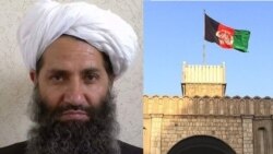 افغان حکومت وایي طالبان د جګړې د لارې کامیابېدی نشي او افغان حکومت سولې ته آماده دی