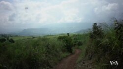 Mozambique Pairs Coffee and Conservation