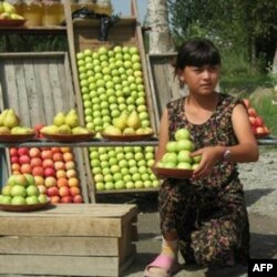 AQSh O'zbekistondan Afg'onistondagi askarlar uchun meva-sabzovot sotib olish niyatida